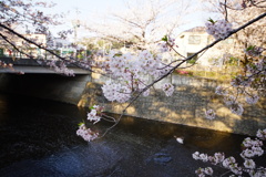 DSC05422