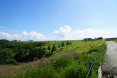 DSC06669