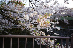 DSC05657