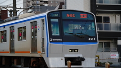 DSC01342