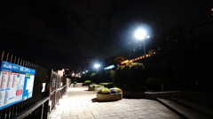 隅田川公園の夜