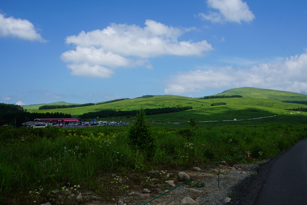 DSC06311