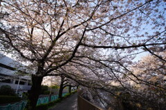 DSC05410