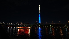 隅田川公園の夜