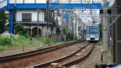 DSC01011