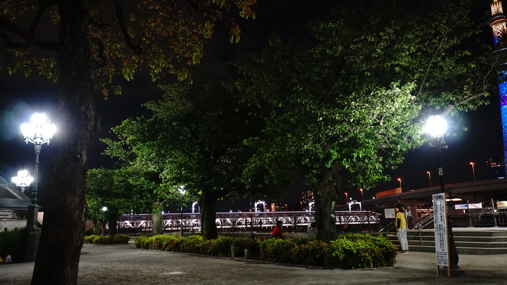 隅田川公園の夜