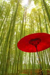 竹林と和傘
