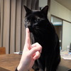 うちのジャガ助