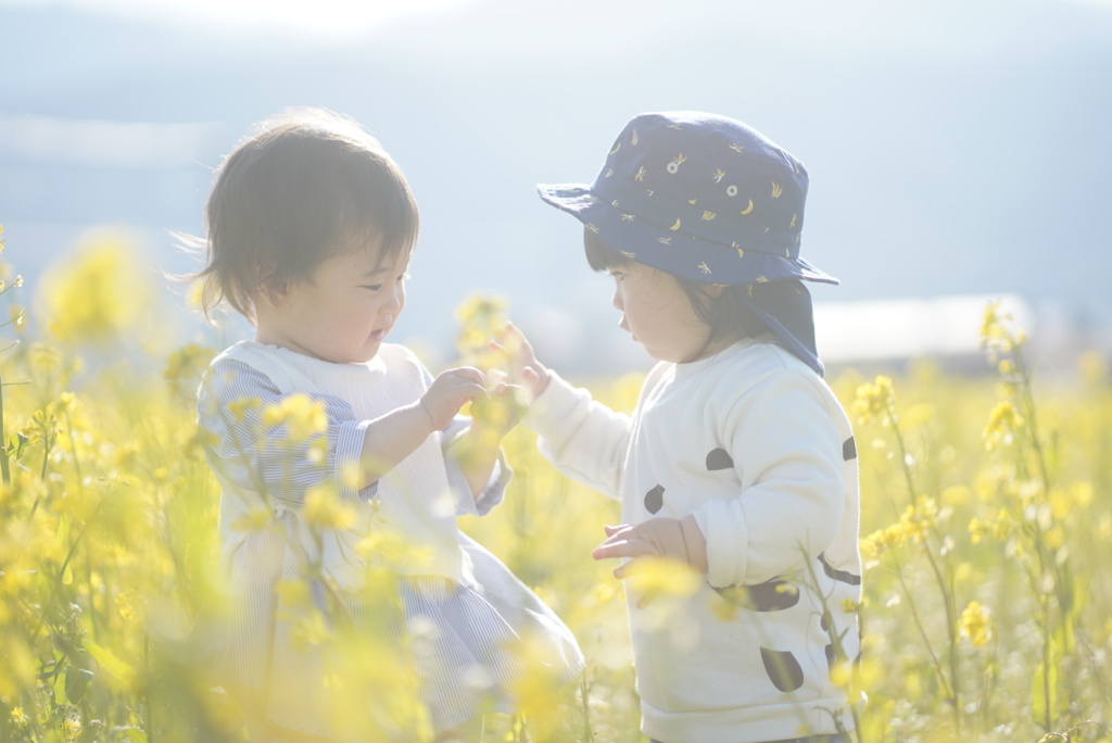 お花畑で