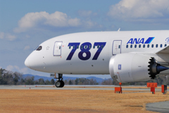 ANA 787