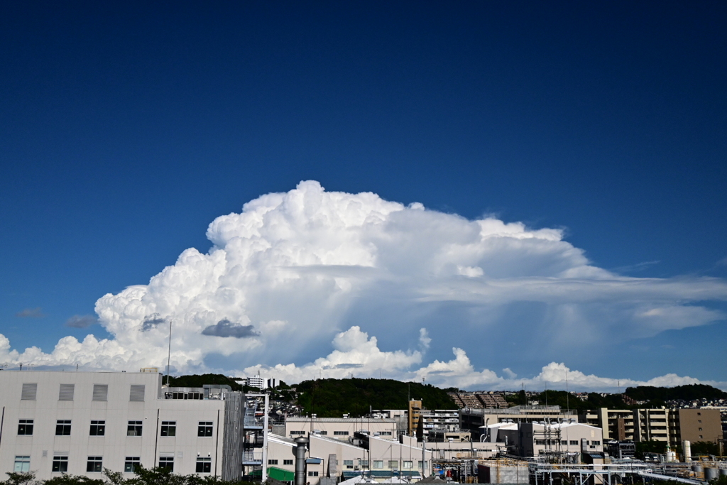 夏の雲