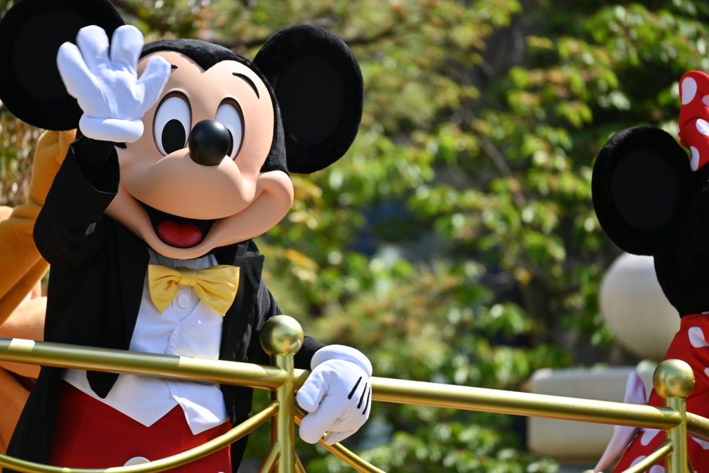 ディズニーランド