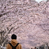 桜道