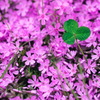 DSC02325