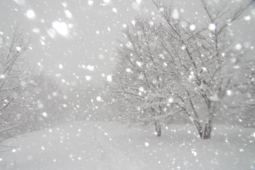 豪雪地
