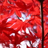 平岡樹芸センターにて