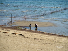 海辺の親子