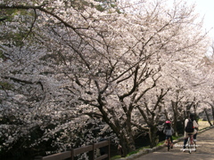 親子