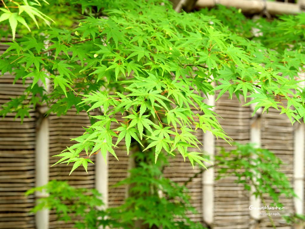 好古園
