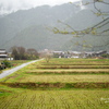 雨が降るとまだまだ寒い