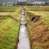 雨が降るとまだまだ寒い