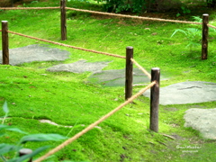 好古園