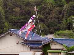 五月の空に舞う
