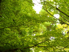 好古園
