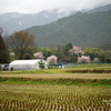 雨が降るとまだまだ寒い