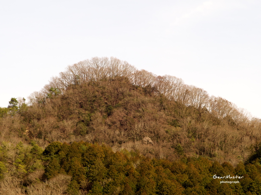 春を待ってる山