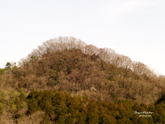 春を待ってる山