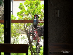 自転車のある風景