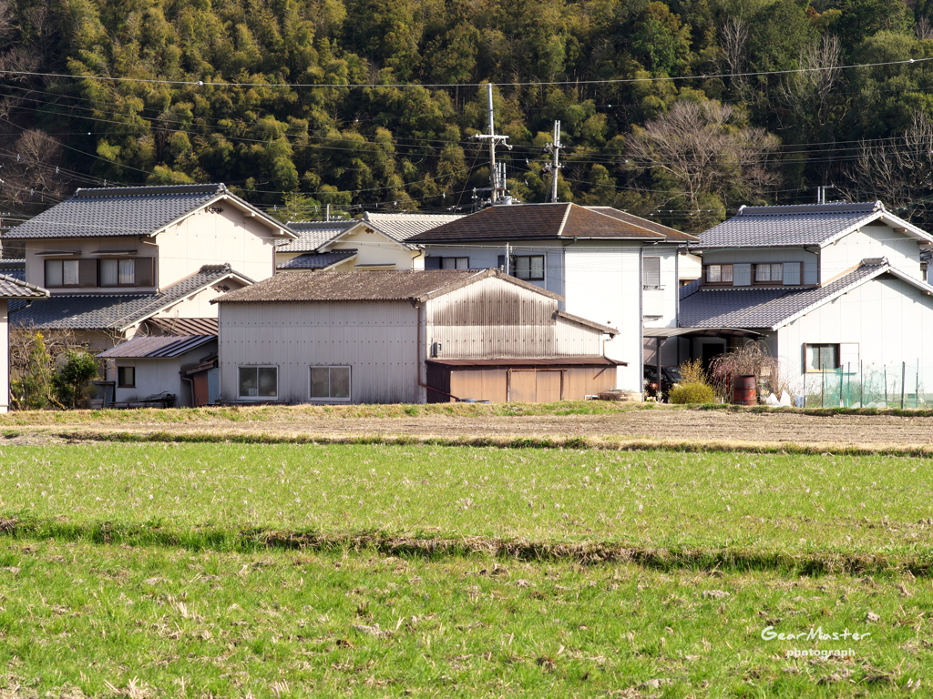 田んぼと家