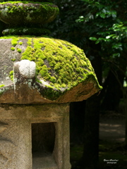 船津正八幡神社