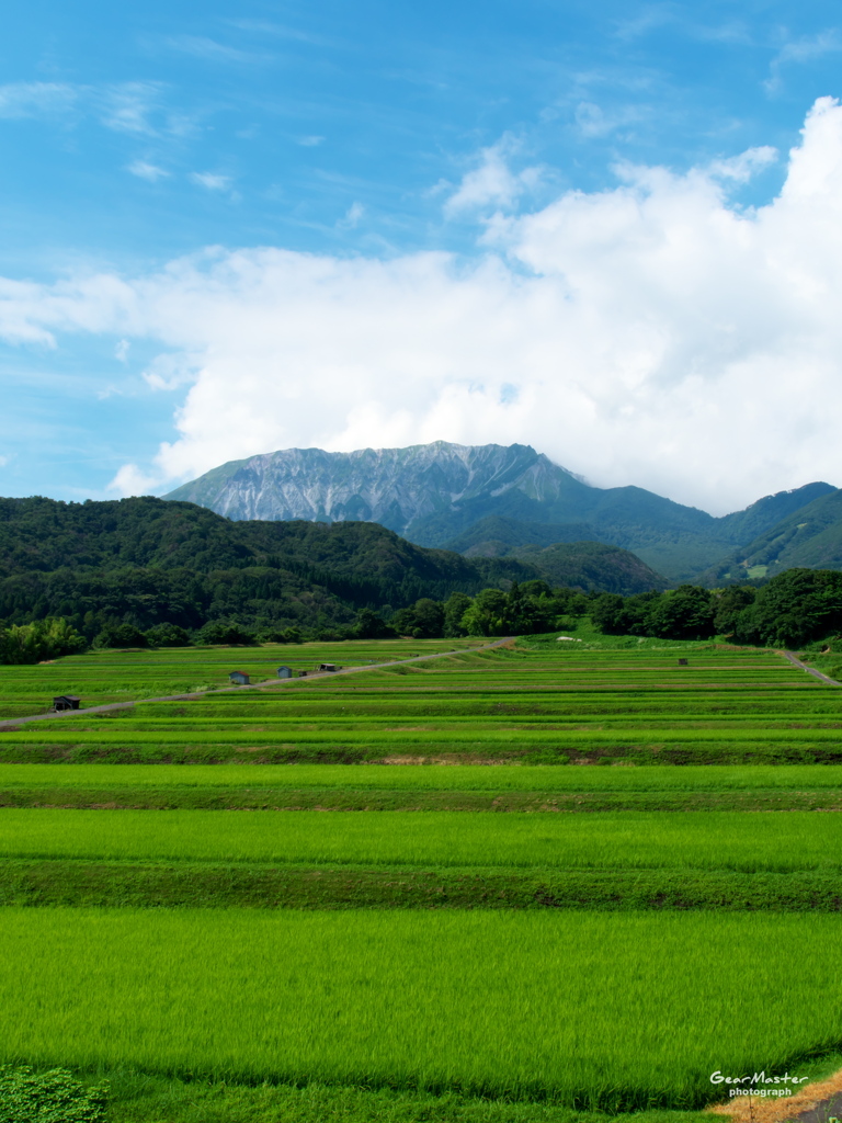 棚田から大山を望む