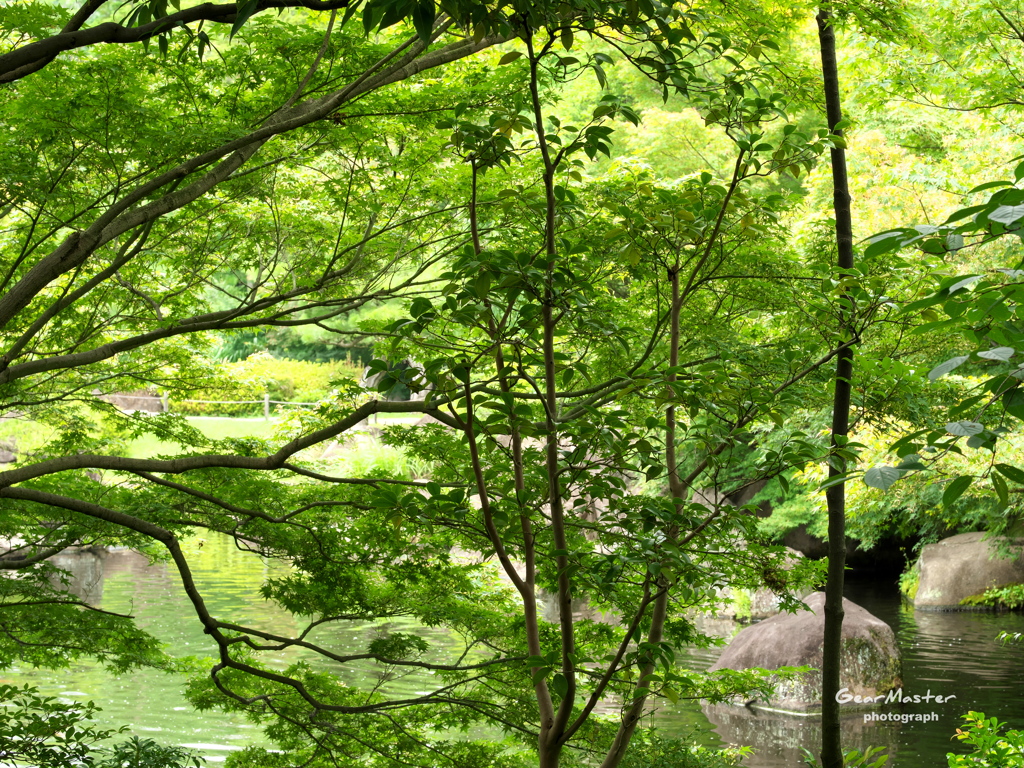 好古園