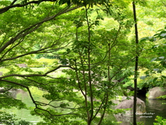 好古園