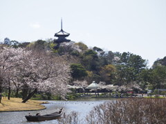 春の三渓園