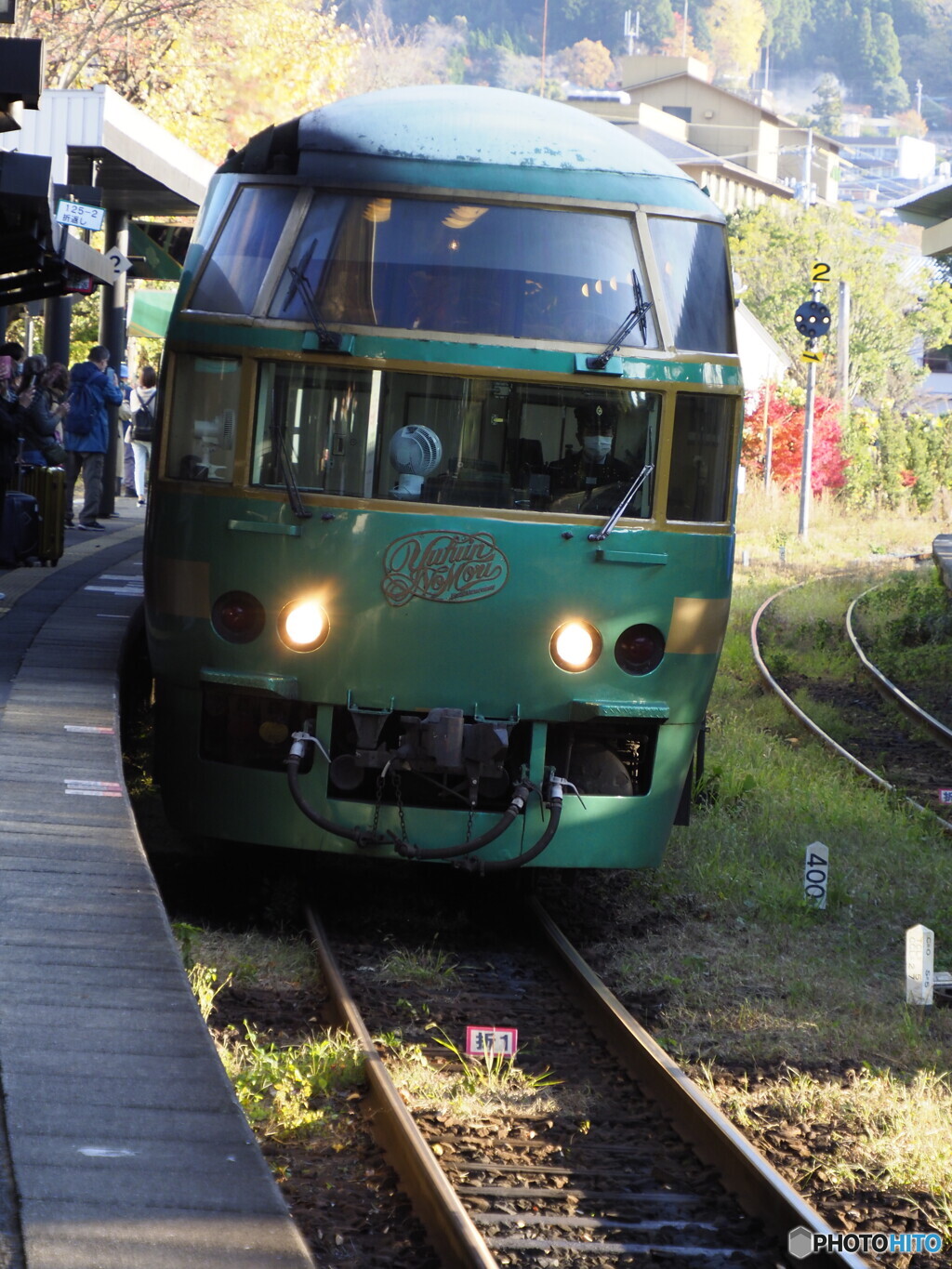 ゆふいんの森