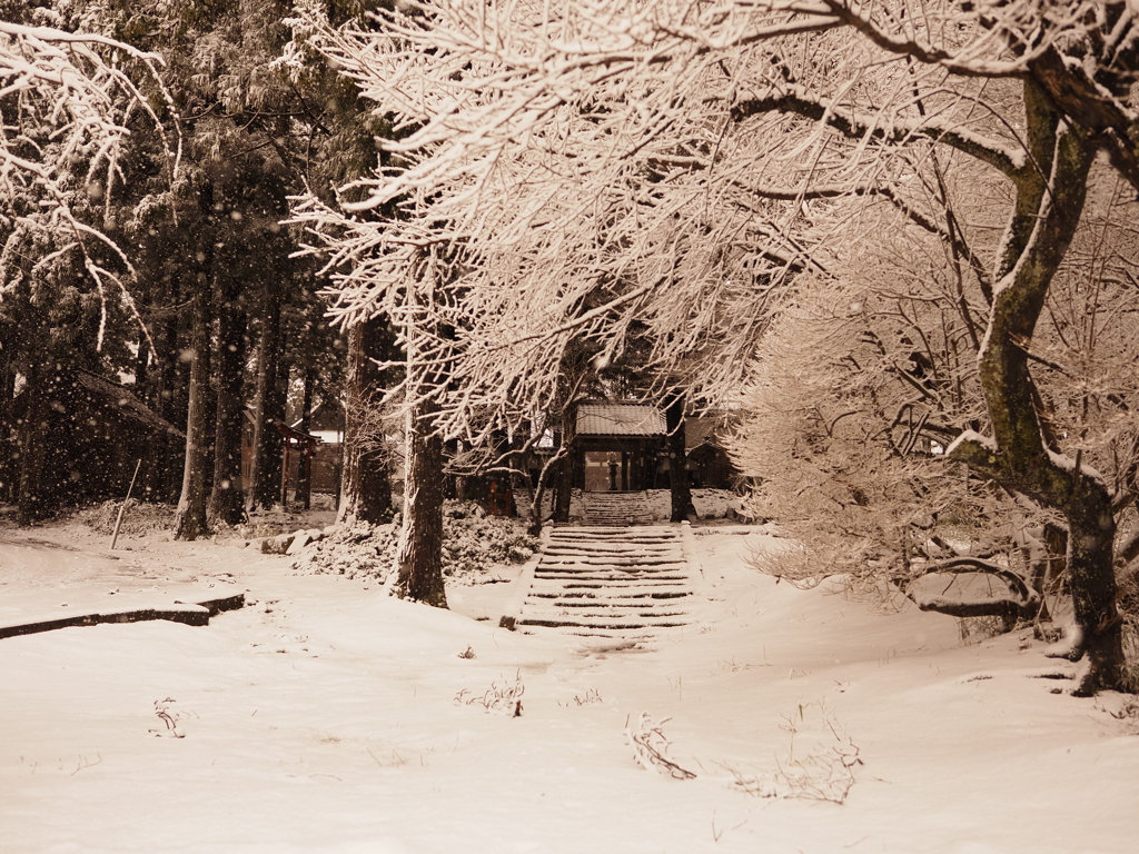 雪道のお参り