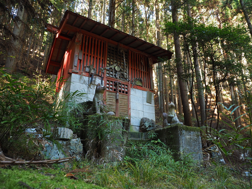 廃村の神社