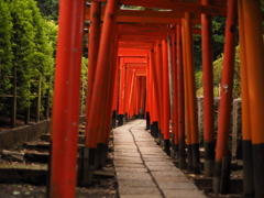 並ぶ鳥居