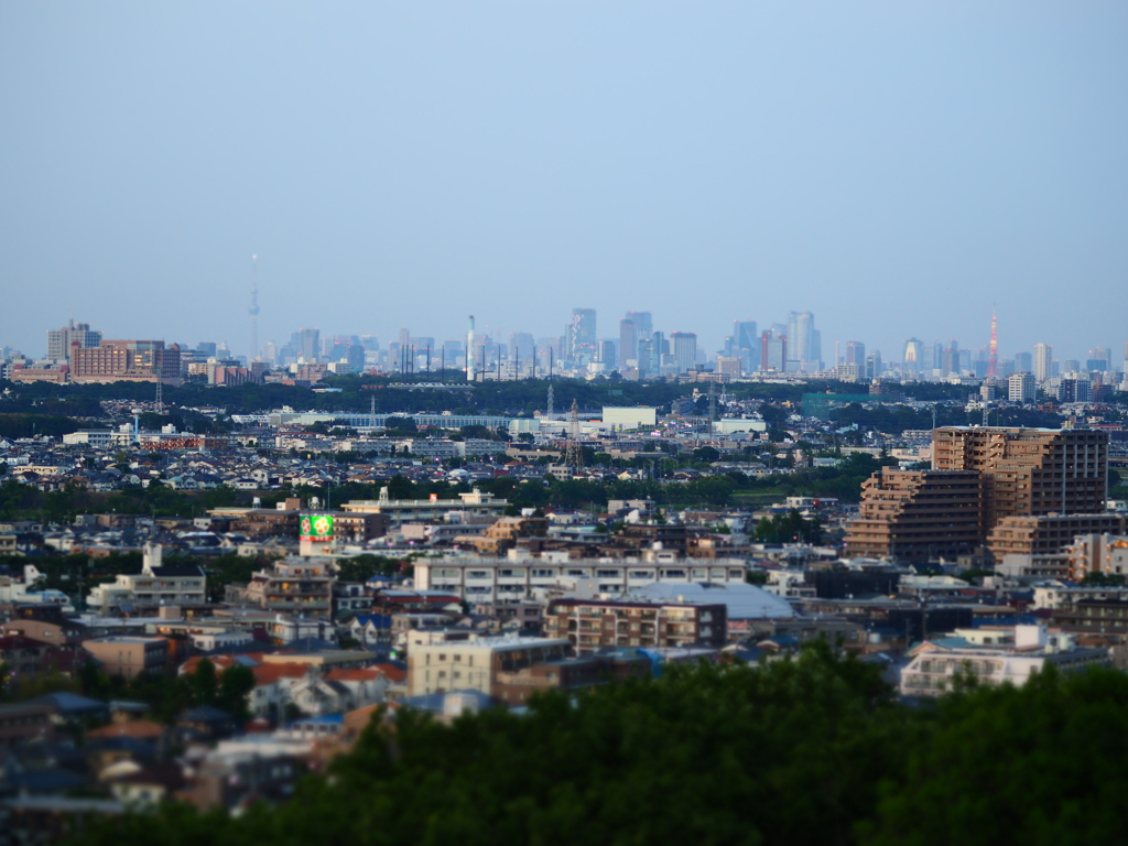 スカイツリーと東京タワーと街並み