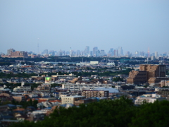 スカイツリーと東京タワーと街並み