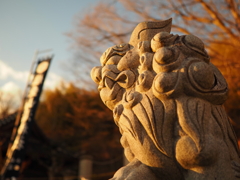 夕日を見つめる狛犬