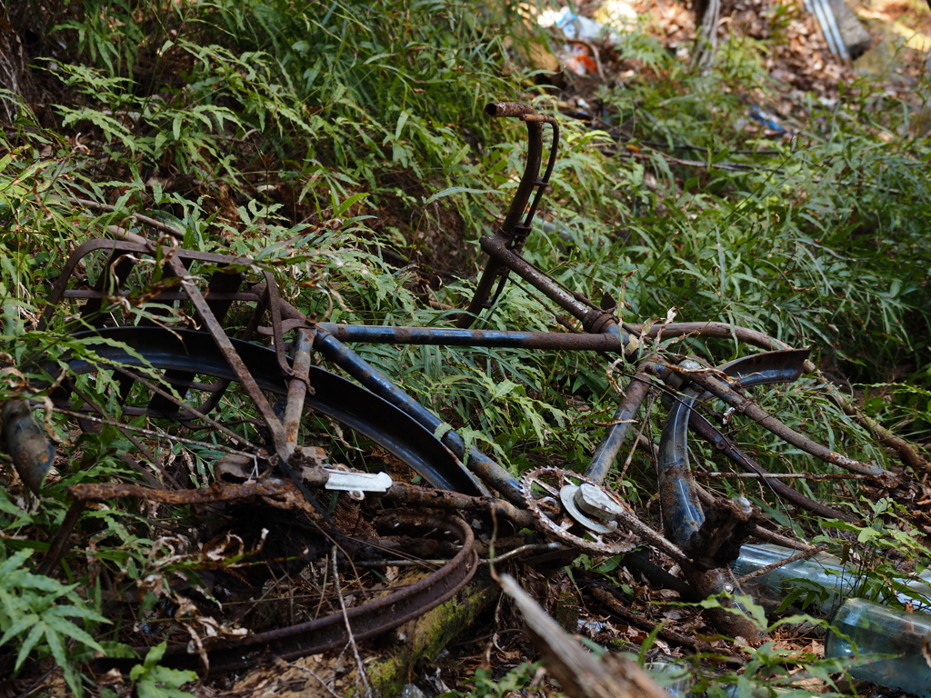 朽ちた自転車
