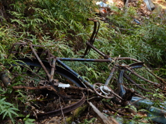 朽ちた自転車