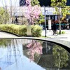 Reflection