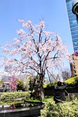 青空の下で一枚