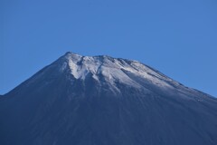 初冠雪